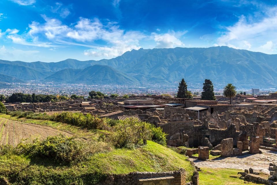 Pompeii: Entry Ticket with Optional Audio Guide - Who should book this ticket, and who should upgrade