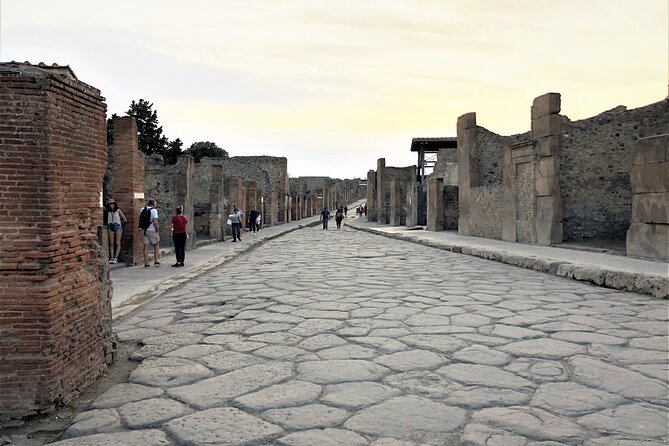 Pompeii Express: 1-Hour Guided Tour - Price and value: you’re paying for the guide, not the site ticket