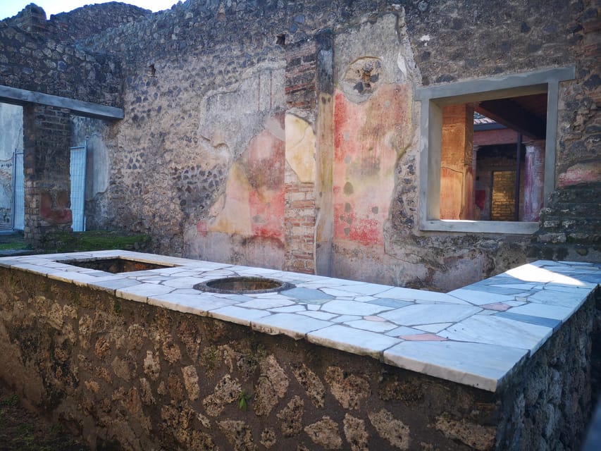 Pompeii: Guided Day Trip to Ruins and 2 Wineries Visits - Key highlights you’ll care about