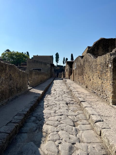 Pompeii Guided Experience - Tour Service Only - What You’ll Actually Do Inside Pompeii