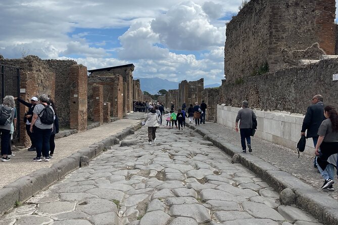 Pompeii Guided Tour from Naples with Transport and Entrance Included - A 3-Hour Pompeii Day Trip From Naples, With Entry Included