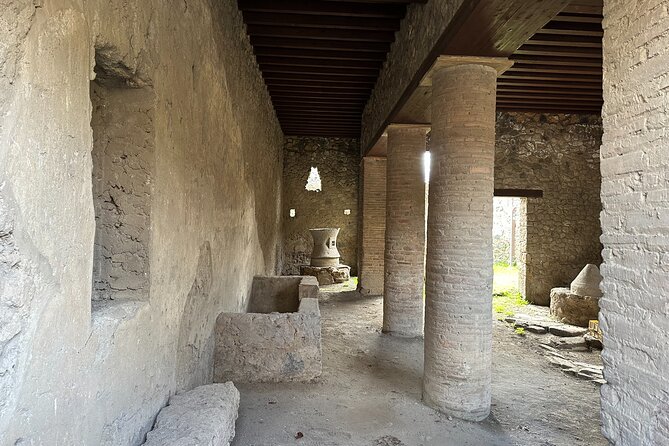 Pompeii Guided Tour from Naples with Transport and Entrance Included - Why Private Transport Is the Real Value Here