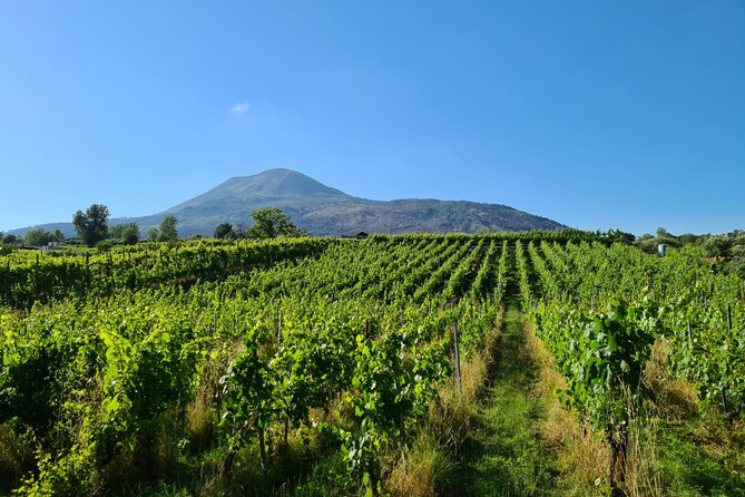 Pompeii Guided Tour & Lunch with Superior Wine Tasting - Lunch with your wine: what’s served and why it feels Italian