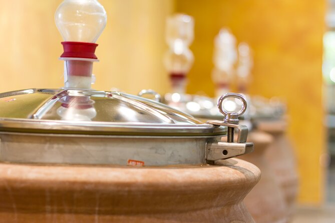 Pompeii Guided Tour & Lunch with Superior Wine Tasting - Price and value: why $176-ish makes sense for this specific combo