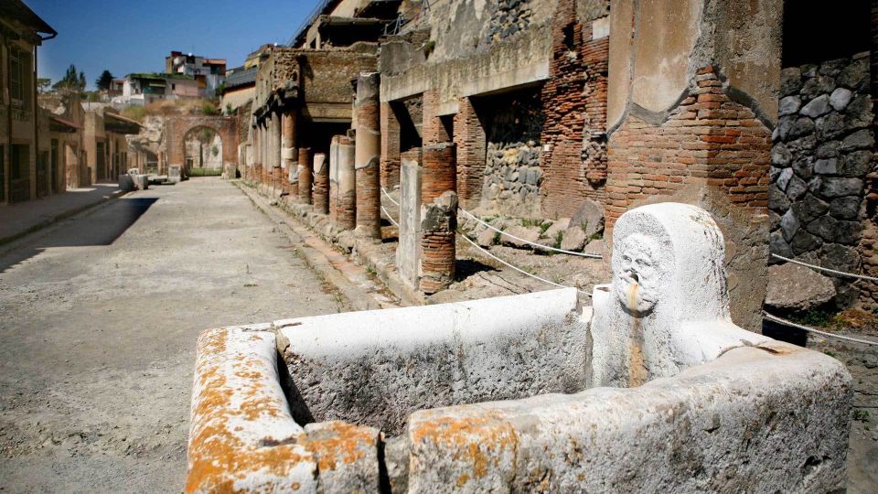 Pompeii Guided Walking Tour – Skip-the-Line Priority Access - Recently excavated areas: fresh context on Pompeii’s final days