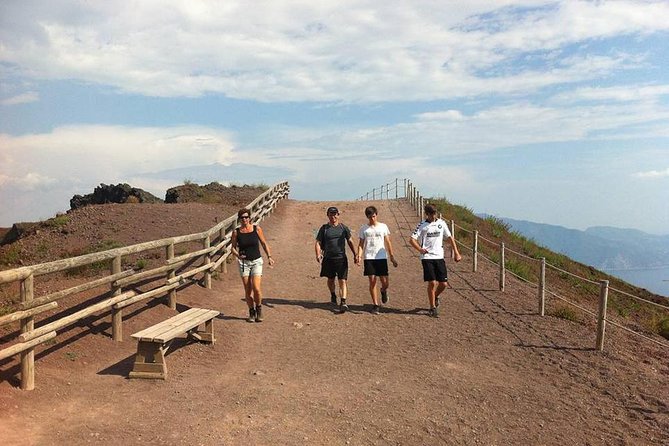 Pompeii, Herculaneum and Vesuvius Private Guided Tour - Who Should Book This Tour (and Who Might Prefer Something Else)
