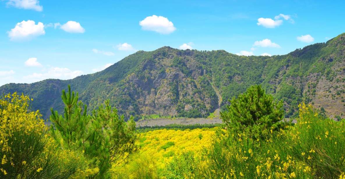 Pompeii, Herculaneum and Vesuvius Tour - Key Highlights You’ll Feel Immediately