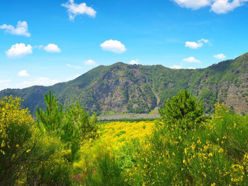 Pompeii, Herculaneum and Vesuvius Tour - A Full Day Route That Keeps You Moving (Via Roma to the Crater)