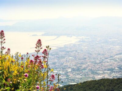 Pompeii, Herculaneum and Vesuvius Tour - Meeting Point and Getting Around Without the Usual Headaches