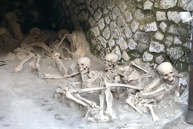 Pompeii & Herculaneum Family Adventure | Guide+Transport+Tickets - Volcano views without the climb: photos from Pompeii and Herculaneum