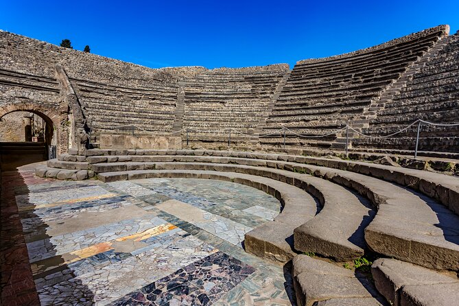 Pompeii & Herculaneum Family Adventure | Guide+Transport+Tickets - Aristocratic houses and street life: Alexander mosaic to the dancing faun