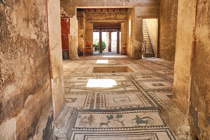 Pompeii, Herculaneum & Mt Vesuvius Private Tour from Naples - Pompeii Archaeological Park: Two hours in a city that takes days