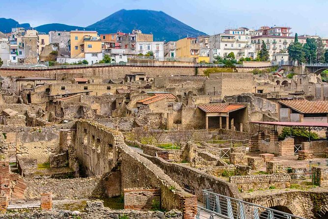 Pompeii & Herculaneum Private Tour: Fast-Track, Winery & Lunch - Herculaneum in 2 hours: the city where details survive