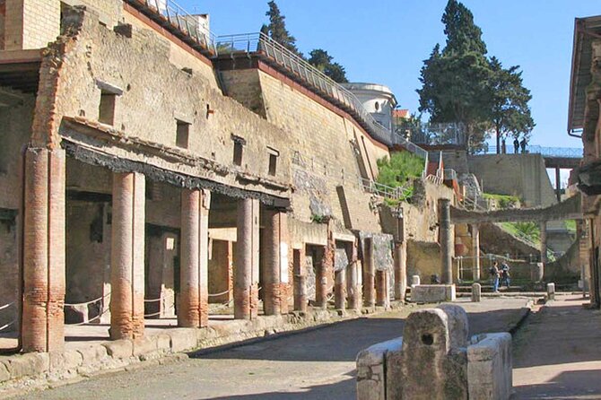 Pompeii & Herculaneum Private Tour: Fast-Track, Winery & Lunch - Pompeii for 2 hours: the Forum, villas, and mosaics you’ll remember