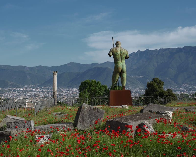 Pompeii & Herculaneum: Skip-the-line & Digital Guide App - Skip-the-line at Pompeii: where the day starts