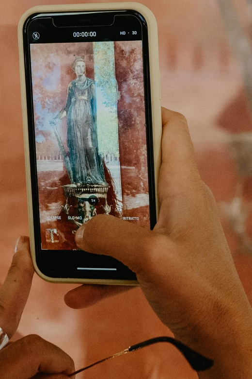Pompeii & Herculaneum: Skip-the-line & Digital Guide App - Should you book it?