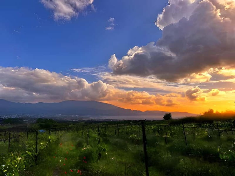 Pompeii: Mount Vesuvius Night Horseback Ride and Italian BBQ - Getting picked up around Pompeii: simple meeting points