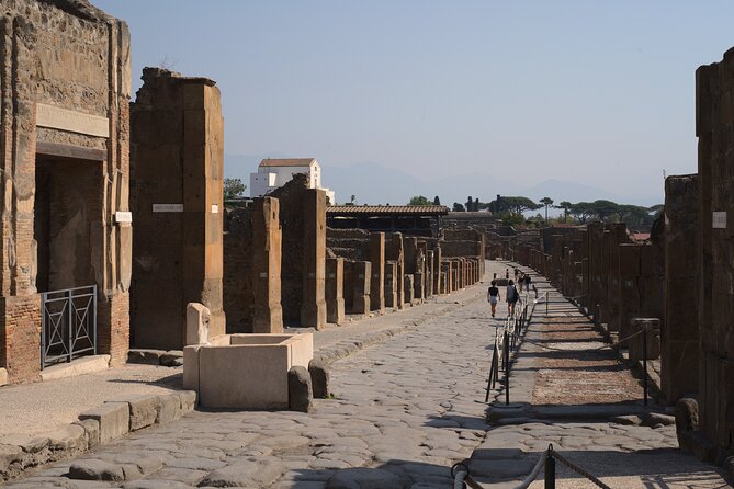 Pompeii & Mount Vesuvius Private Tour with Guide - Pompeii Archaeological Park with an archaeologist: more meaning per step