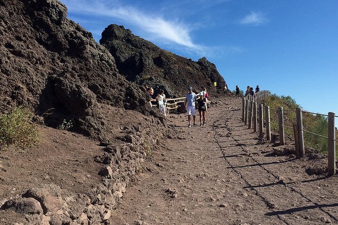 Pompeii & Mount Vesuvius Private Tour with Guide - Lunch near Pompeii and the optional winery idea