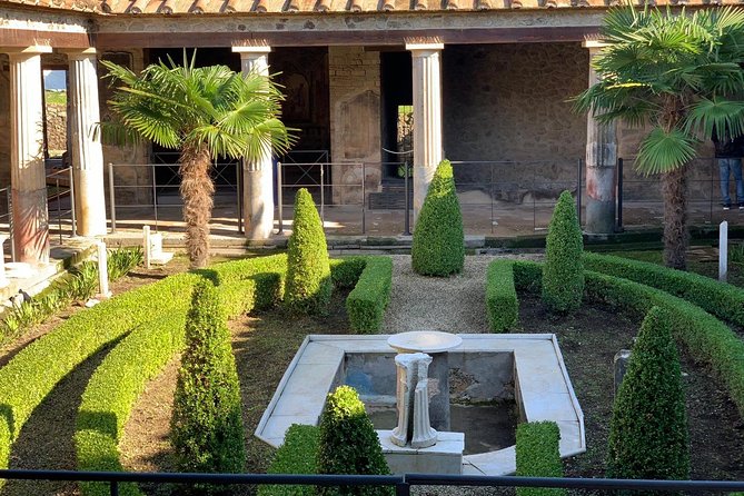 Pompeii & Mount Vesuvius Private Tour with Guide - Who this tour is best for