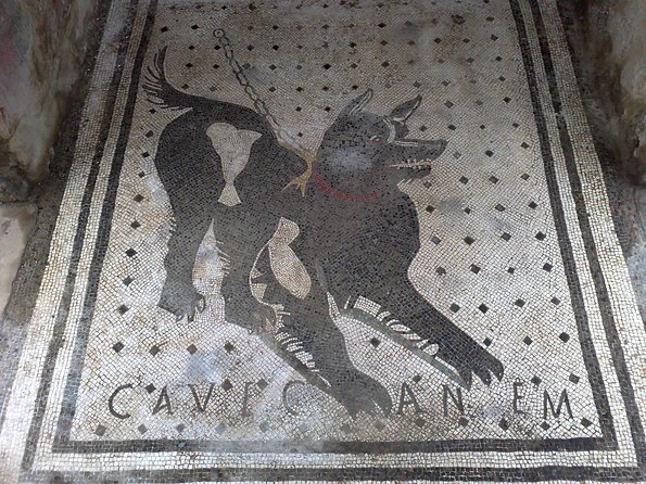 Pompeii Positano and Sorrento shared excursion with Pompeii skip the line entry - Pompeii Entry: Skip the Line and Start With the Big Names