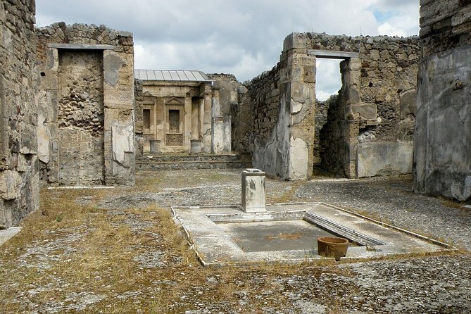 Pompeii Private Day Tour and Winery Stop - Bosco de Medici Winery: Wine and Typical Dishes Close to the Ruins