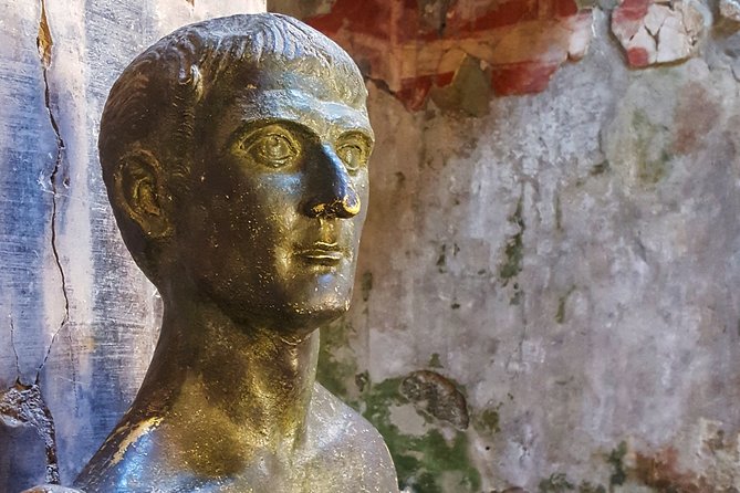 Pompeii Private Day Tour and Winery Stop - Mount Vesuvius and the Gulf of Naples View