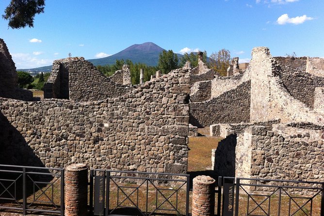 Pompeii Private Half-Day Tour from: Naples,Sorrento, Amalfi Coast - Private transportation and the value of not wasting time