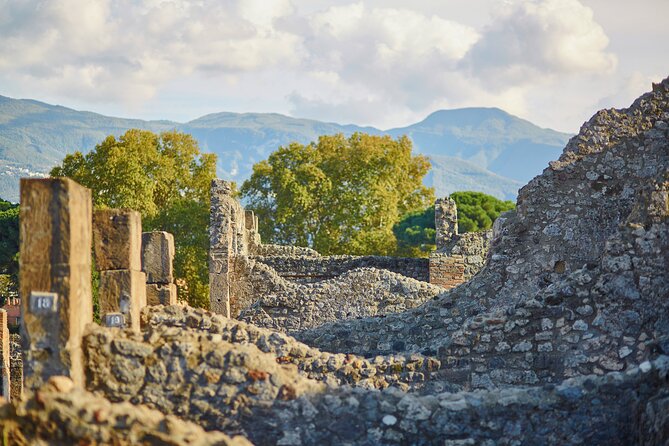 Pompeii Private & Personalized Tour with archeology expert guide - Tips that actually help you enjoy the site
