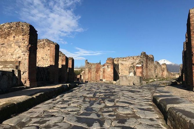 Pompeii Private Tour with Expert Guide - Guide Spotlight: Romolo, Sophia, and Francesco Styles