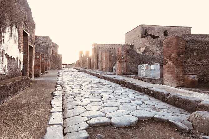 Pompeii Private Tour with expert local guide - Price and value: when $228.78 makes sense