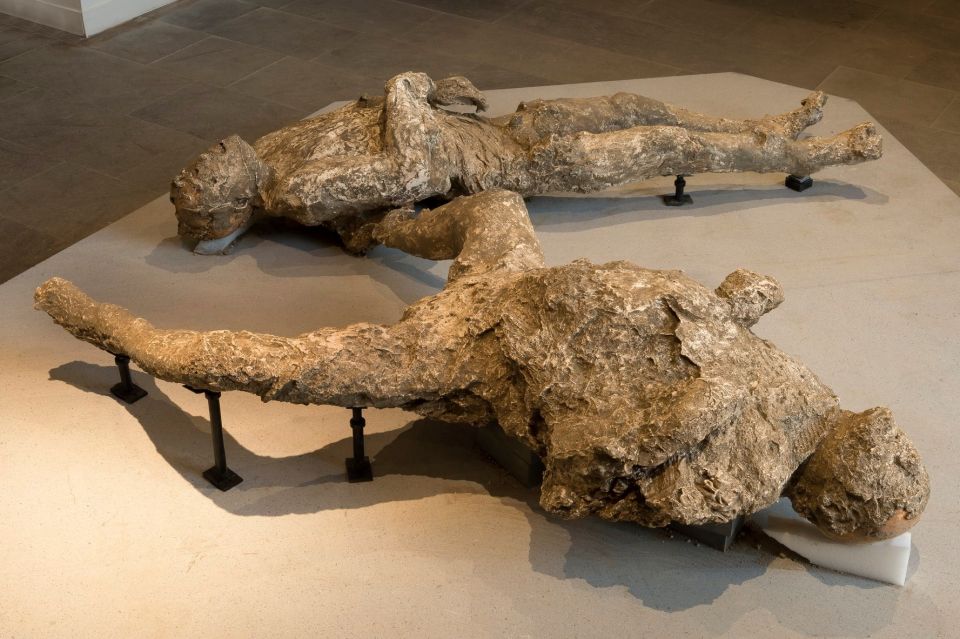 Pompeii: Private Tour with Hotel Pickup and Entry Ticket - Best fit: who should book this Pompeii private tour?