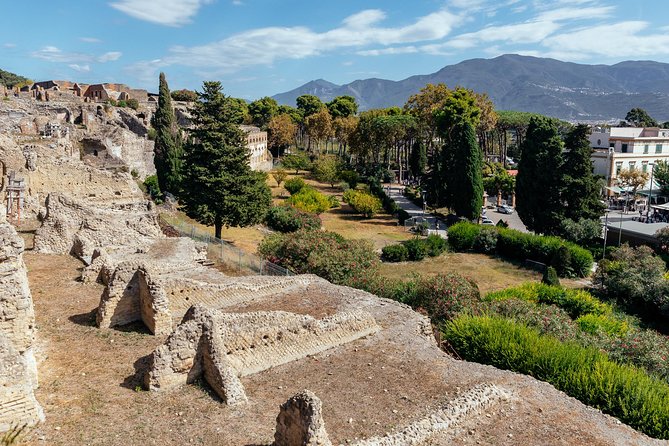 Pompeii PRIVATE TOUR With Locals: Ticket & Guide Included - Fast-Track Entry at Pompeii’s Main Gate