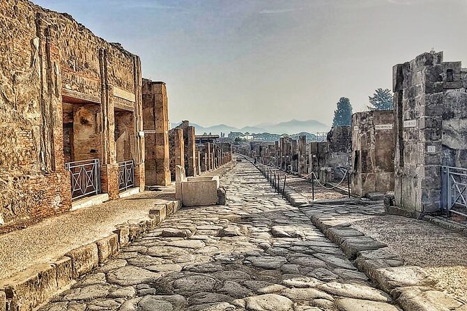 Pompeii Private Walking Tour with Expert and Authorized Guide - Value for money: what $102.13 actually buys you