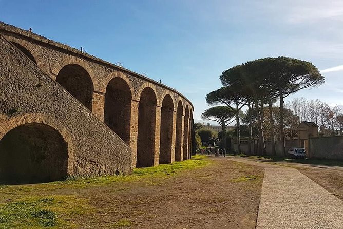 Pompeii Ruins: Day Trip from Naples with skip the line ticket - When the tour might not fit you