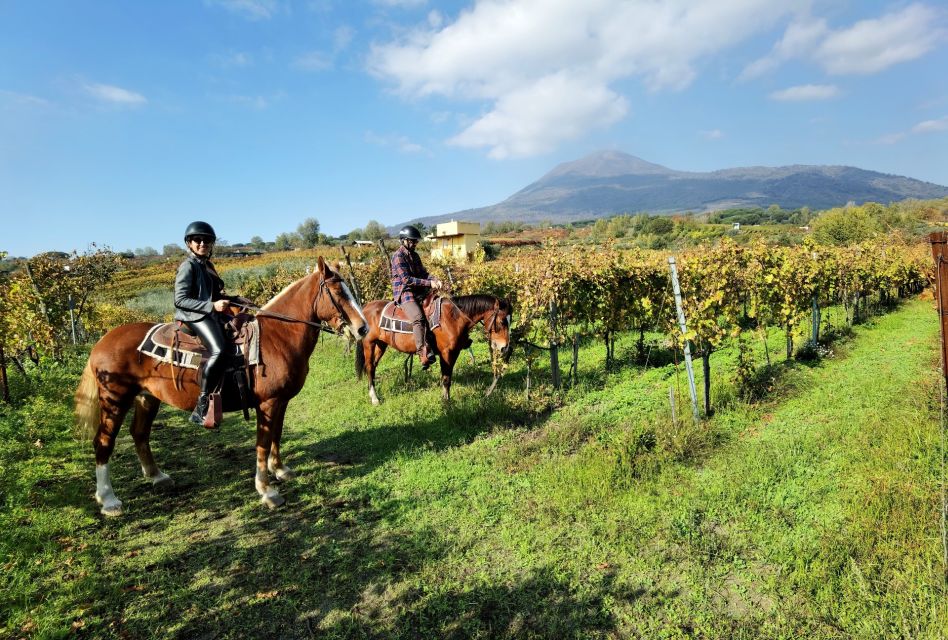 Pompeii: Ruins Tour and Mount Vesuvius Horseback Ride - Key points worth knowing before you go
