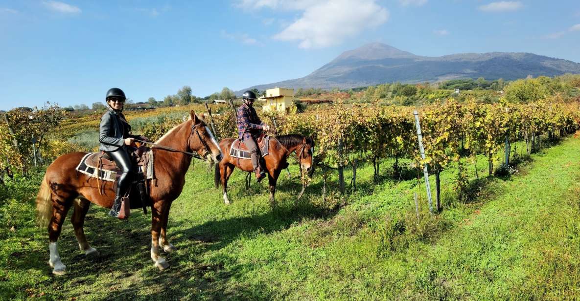 Pompeii: Ruins Tour and Mount Vesuvius Horseback Ride - Why This Pompeii and Vesuvius Day Trip Feels Different