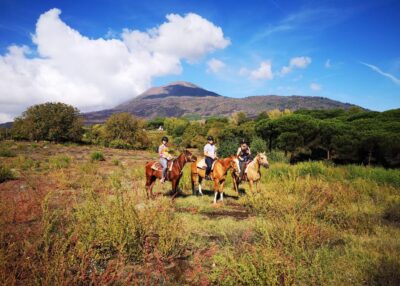 Pompeii: Ruins Tour and Mount Vesuvius Horseback Ride - Meeting in Front of Hortus Pompei and Getting Picked Up Right