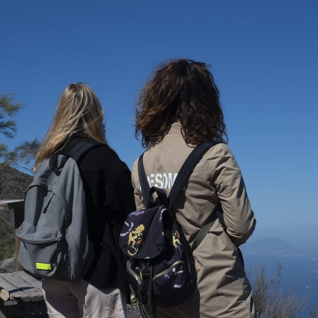 Pompeii Ruins & Vesuvius Full-Day Tour from Pompeii - The Hotel Vittoria meeting point and day-before details