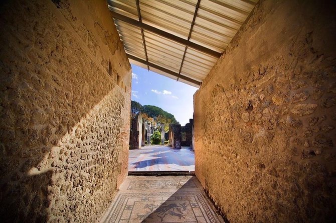 Pompeii Small Group Tour & Food/Wine tasting at Mt. Vesuvius - What You’ll Actually See in Pompeii