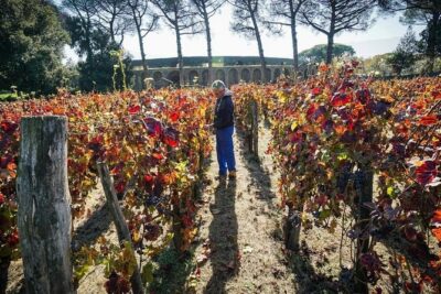 Pompeii Small Group Tour & Food/Wine tasting at Mt. Vesuvius - Skip-the-Line Entry at Porta Marina Superiore
