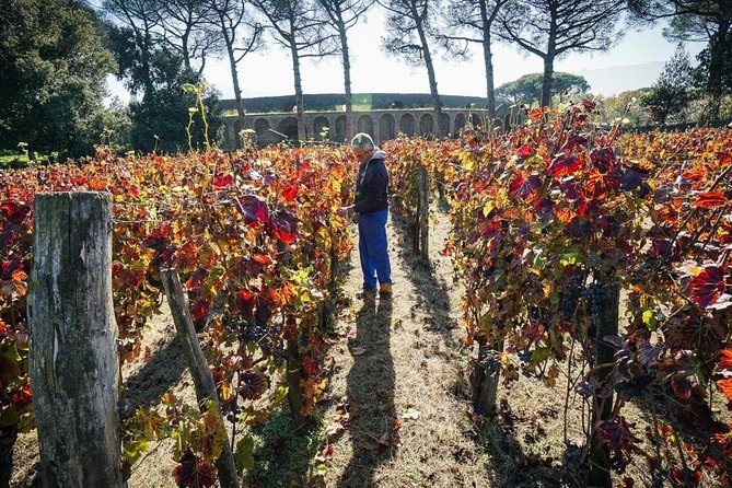 Pompeii Small Group Tour & Food/Wine tasting at Mt. Vesuvius - Skip-the-Line Entry at Porta Marina Superiore
