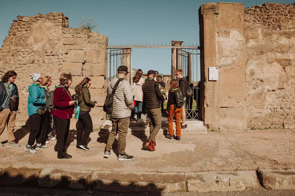 Pompeii Small Group Tour with transportation from Naples - Forum and Civic Buildings: Where Pompeii Shows Its Public Face