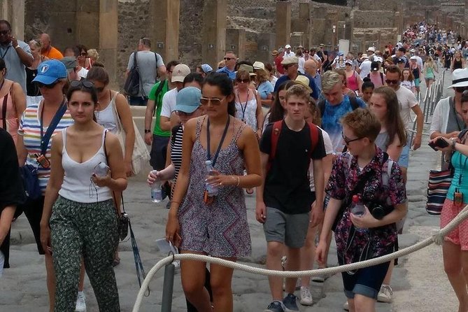 Pompeii the Ancient City (Tour+Transfer) - Language and comfort: a realistic expectation check