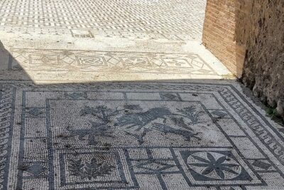 Pompeii tour with archaeologist - The Basilica: where public business happened