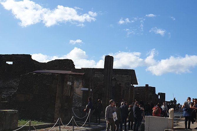 Pompeii tour with entrance ticket! - Skip-the-Line Priority Entrance and the Ticket Gap