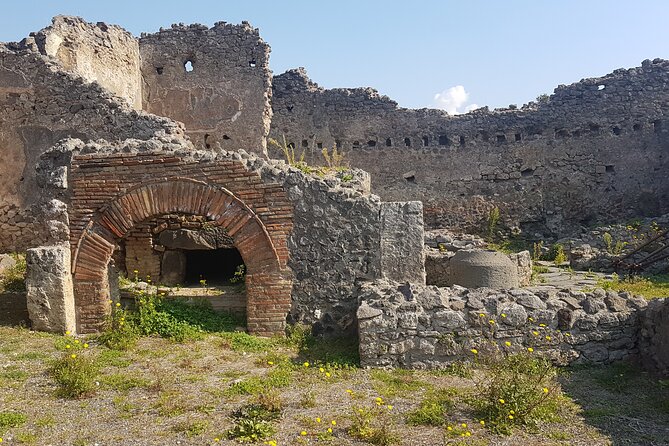 Pompeii Tour with experienced guide - Your guide matters: Roberta Avilia’s storytelling and flexibility