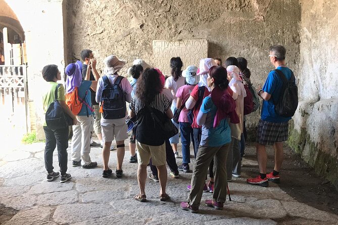Pompeii Tour with experienced guide - Who this tour suits best (and who might want something else)