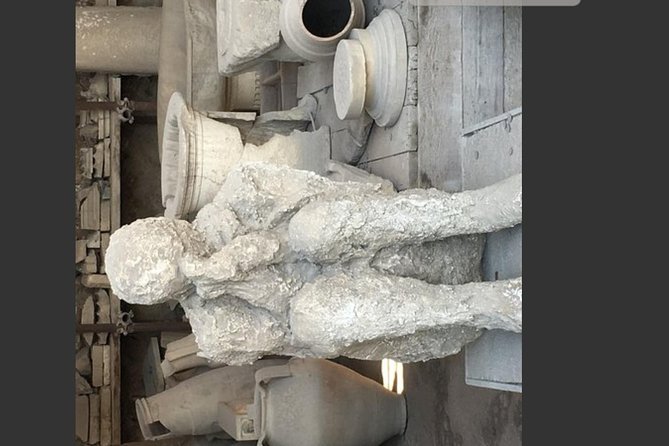 Pompeii, Vesuvius & Wine Tasting Private day Tour - Price and value: what $317.89 covers, and what you still pay