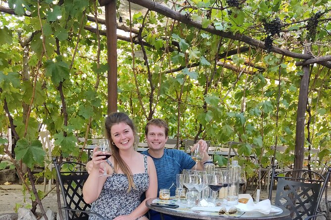 Pompeii, Vesuvius & Wine Tasting Private day Tour - Who should book this Pompeii, Vesuvius and wine day